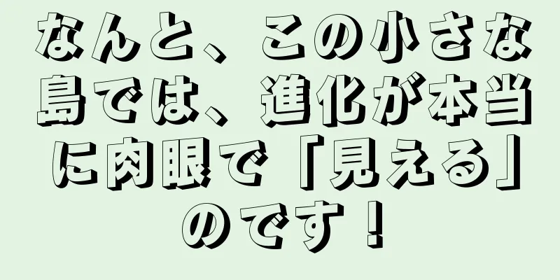 なんと、この小さな島では、進化が本当に肉眼で「見える」のです！