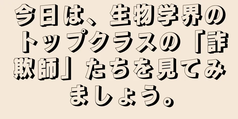 今日は、生物学界のトップクラスの「詐欺師」たちを見てみましょう。