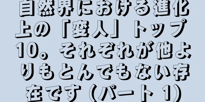 自然界における進化上の「変人」トップ 10。それぞれが他よりもとんでもない存在です (パート 1)
