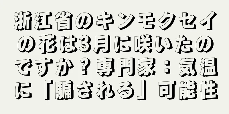 浙江省のキンモクセイの花は3月に咲いたのですか？専門家：気温に「騙される」可能性