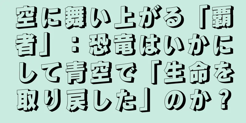 空に舞い上がる「覇者」：恐竜はいかにして青空で「生命を取り戻した」のか？