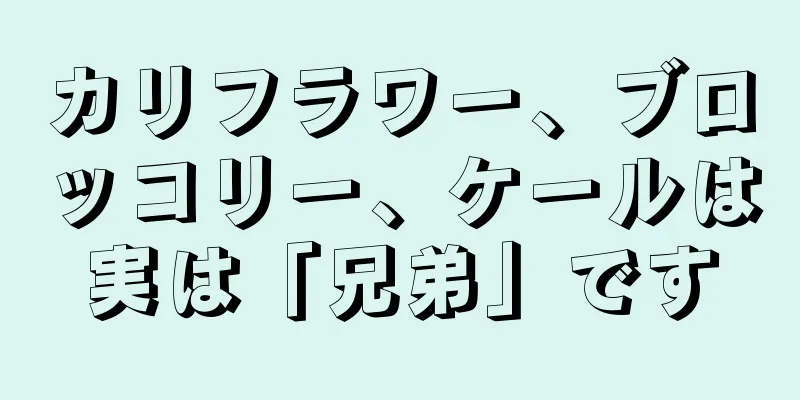 カリフラワー、ブロッコリー、ケールは実は「兄弟」です