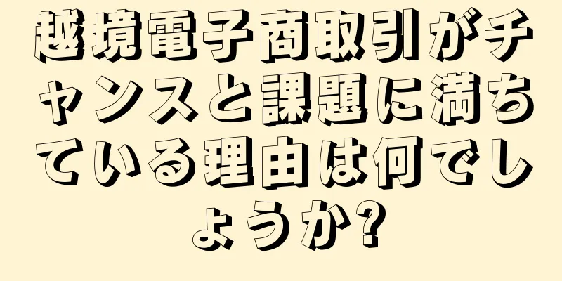 越境電子商取引がチャンスと課題に満ちている理由は何でしょうか?