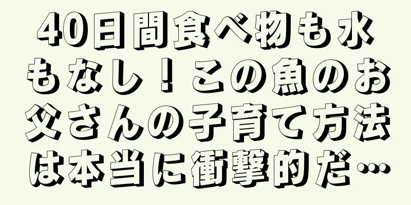40日間食べ物も水もなし！この魚のお父さんの子育て方法は本当に衝撃的だ…