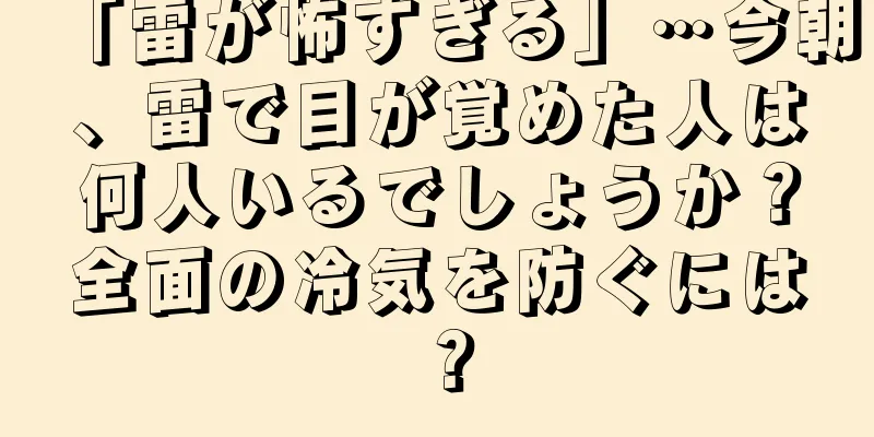 「雷が怖すぎる」…今朝、雷で目が覚めた人は何人いるでしょうか？全面の冷気を防ぐには？