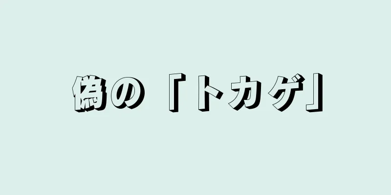 偽の「トカゲ」