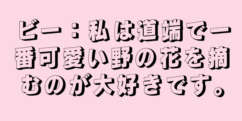ビー：私は道端で一番可愛い野の花を摘むのが大好きです。