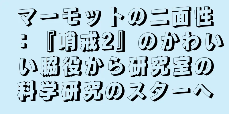 マーモットの二面性：『哨戒2』のかわいい脇役から研究室の科学研究のスターへ