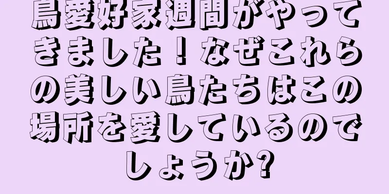 鳥愛好家週間がやってきました！なぜこれらの美しい鳥たちはこの場所を愛しているのでしょうか?