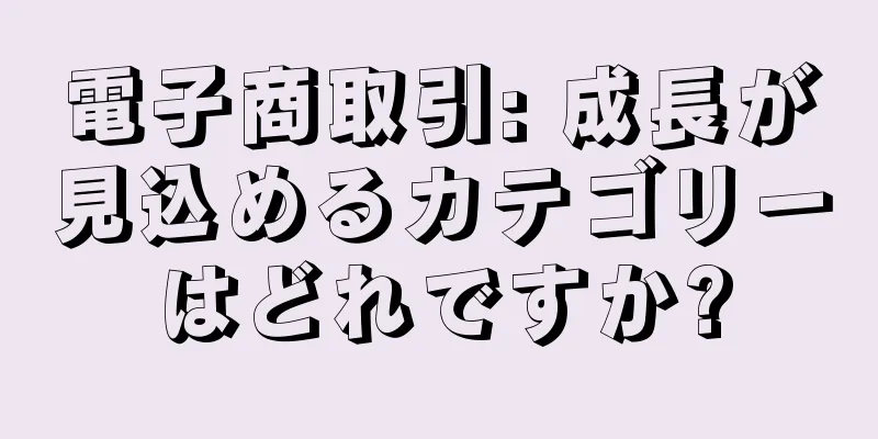 電子商取引: 成長が見込めるカテゴリーはどれですか?