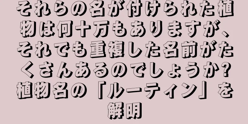それらの名が付けられた植物は何十万もありますが、それでも重複した名前がたくさんあるのでしょうか?植物名の「ルーティン」を解明
