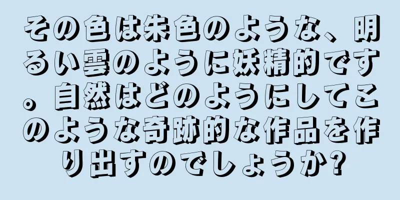その色は朱色のような、明るい雲のように妖精的です。自然はどのようにしてこのような奇跡的な作品を作り出すのでしょうか?