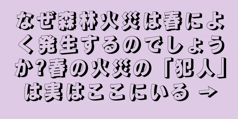 なぜ森林火災は春によく発生するのでしょうか?春の火災の「犯人」は実はここにいる →