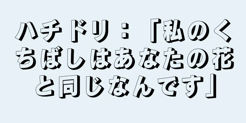 ハチドリ：「私のくちばしはあなたの花と同じなんです」