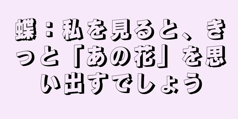 蝶：私を見ると、きっと「あの花」を思い出すでしょう