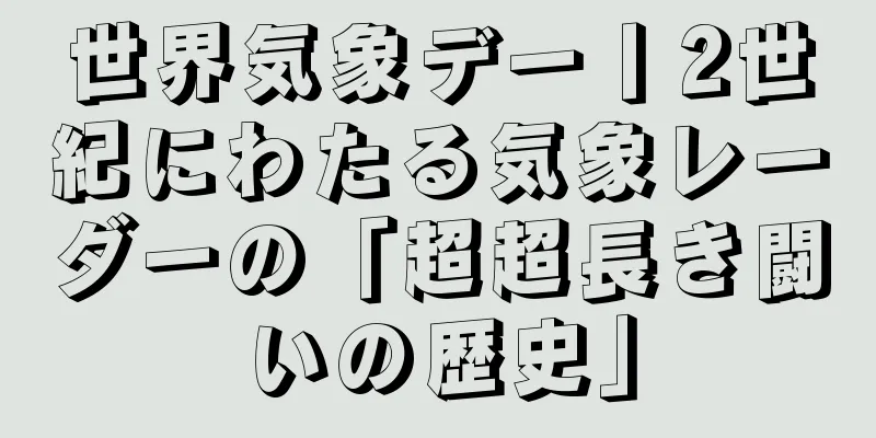 世界気象デー丨2世紀にわたる気象レーダーの「超超長き闘いの歴史」