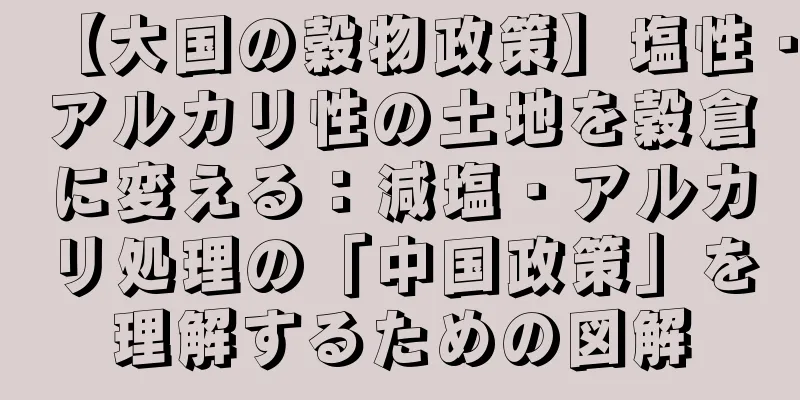 【大国の穀物政策】塩性・アルカリ性の土地を穀倉に変える：減塩・アルカリ処理の「中国政策」を理解するための図解