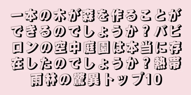 一本の木が森を作ることができるのでしょうか？バビロンの空中庭園は本当に存在したのでしょうか？熱帯雨林の驚異トップ10