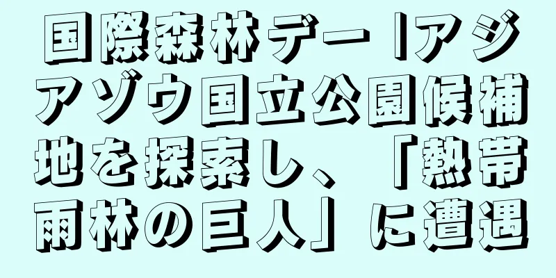 国際森林デー |アジアゾウ国立公園候補地を探索し、「熱帯雨林の巨人」に遭遇