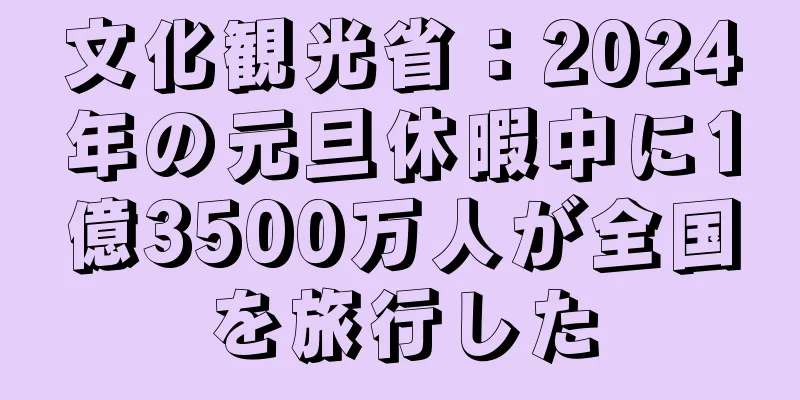 文化観光省：2024年の元旦休暇中に1億3500万人が全国を旅行した