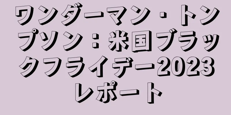 ワンダーマン・トンプソン：米国ブラックフライデー2023レポート
