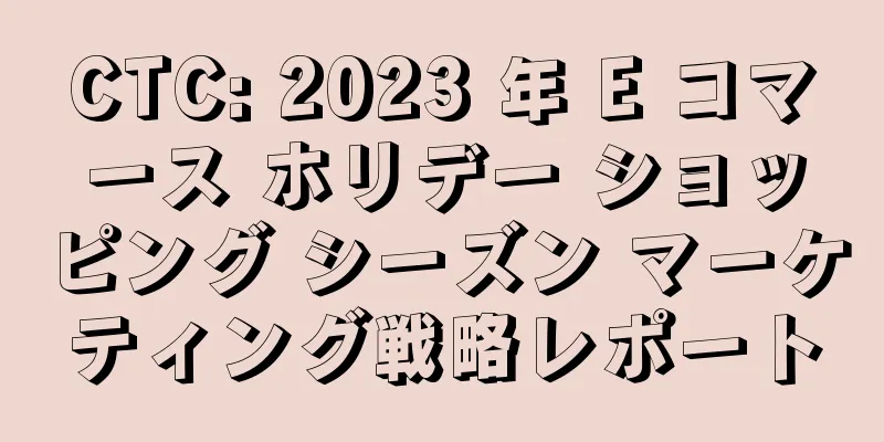 CTC: 2023 年 E コマース ホリデー ショッピング シーズン マーケティング戦略レポート