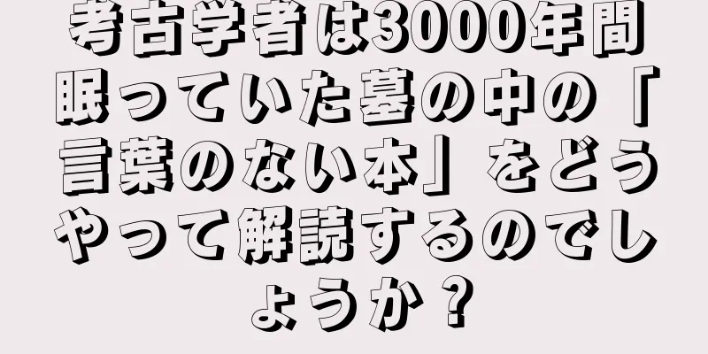 考古学者は3000年間眠っていた墓の中の「言葉のない本」をどうやって解読するのでしょうか？