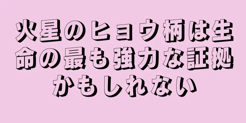 火星のヒョウ柄は生命の最も強力な証拠かもしれない