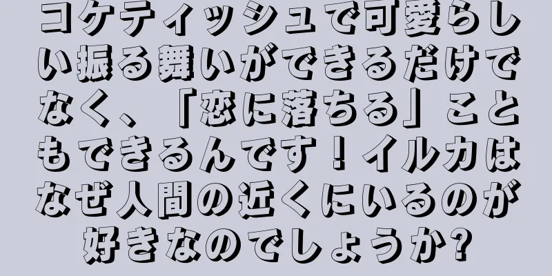 コケティッシュで可愛らしい振る舞いができるだけでなく、「恋に落ちる」こともできるんです！イルカはなぜ人間の近くにいるのが好きなのでしょうか?