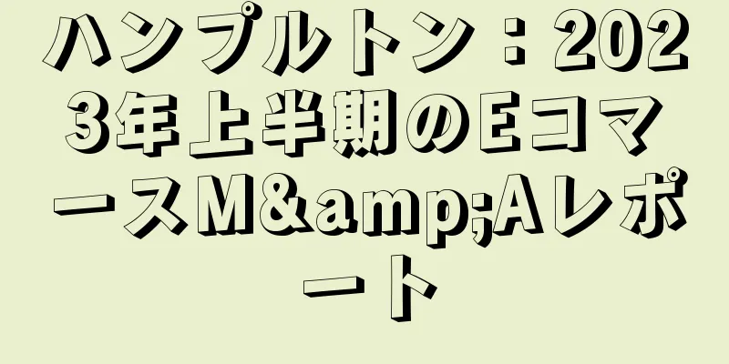 ハンプルトン：2023年上半期のEコマースM&Aレポート