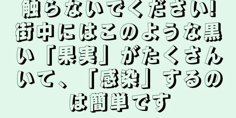 触らないでください!街中にはこのような黒い「果実」がたくさんいて、「感染」するのは簡単です