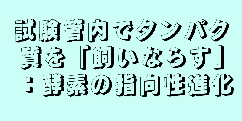 試験管内でタンパク質を「飼いならす」：酵素の指向性進化