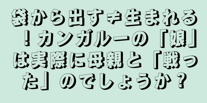 袋から出す≠生まれる！カンガルーの「娘」は実際に母親と「戦った」のでしょうか？