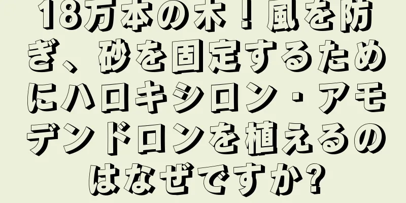 18万本の木！風を防ぎ、砂を固定するためにハロキシロン・アモデンドロンを植えるのはなぜですか?