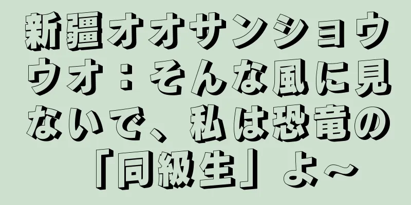 新疆オオサンショウウオ：そんな風に見ないで、私は恐竜の「同級生」よ～