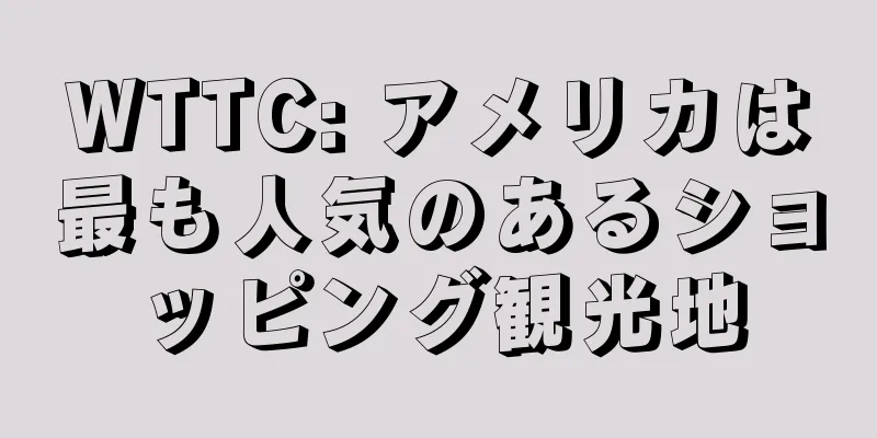 WTTC: アメリカは最も人気のあるショッピング観光地