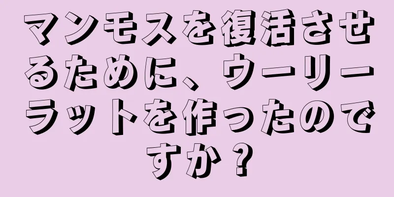 マンモスを復活させるために、ウーリーラットを作ったのですか？