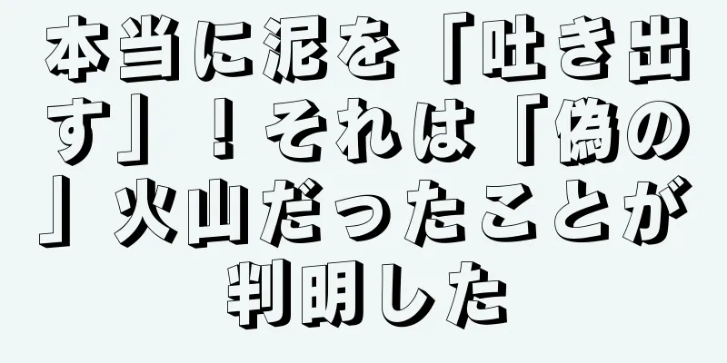 本当に泥を「吐き出す」！それは「偽の」火山だったことが判明した