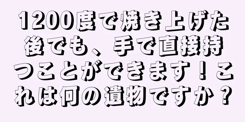 1200度で焼き上げた後でも、手で直接持つことができます！これは何の遺物ですか？