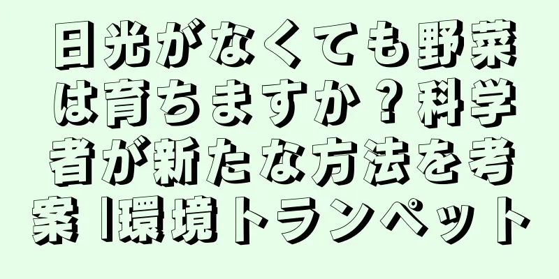 日光がなくても野菜は育ちますか？科学者が新たな方法を考案 |環境トランペット