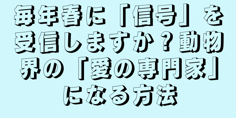 毎年春に「信号」を受信しますか？動物界の「愛の専門家」になる方法
