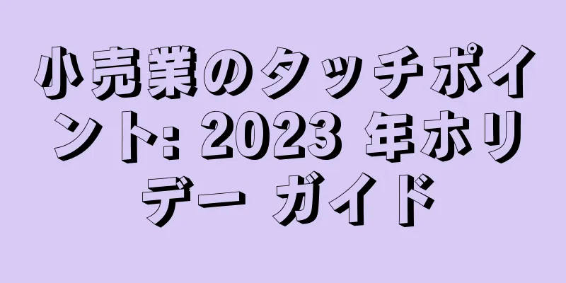 小売業のタッチポイント: 2023 年ホリデー ガイド