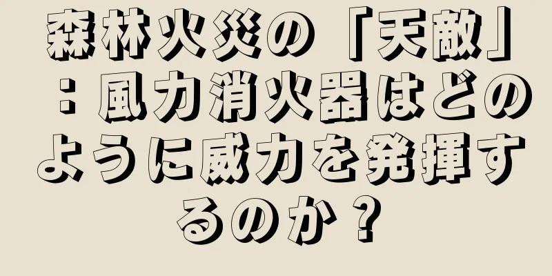 森林火災の「天敵」：風力消火器はどのように威力を発揮するのか？