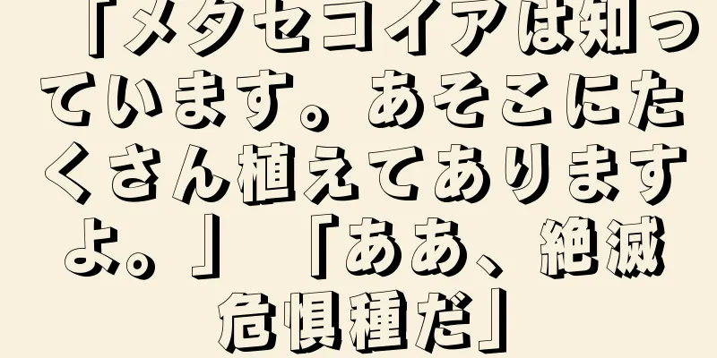 「メタセコイアは知っています。あそこにたくさん植えてありますよ。」 「ああ、絶滅危惧種だ」