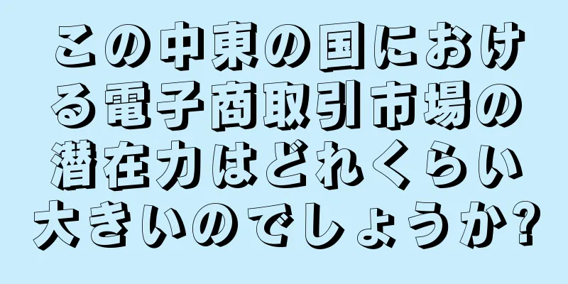 この中東の国における電子商取引市場の潜在力はどれくらい大きいのでしょうか?