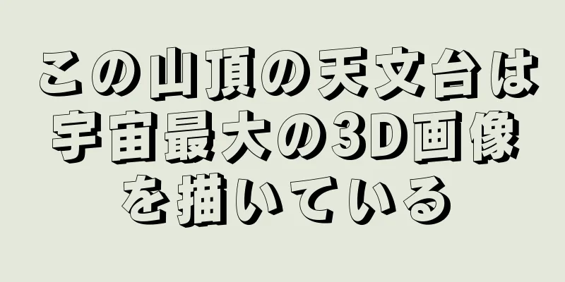 この山頂の天文台は宇宙最大の3D画像を描いている