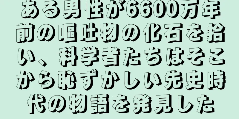 ある男性が6600万年前の嘔吐物の化石を拾い、科学者たちはそこから恥ずかしい先史時代の物語を発見した