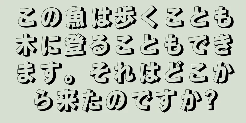 この魚は歩くことも木に登ることもできます。それはどこから来たのですか?