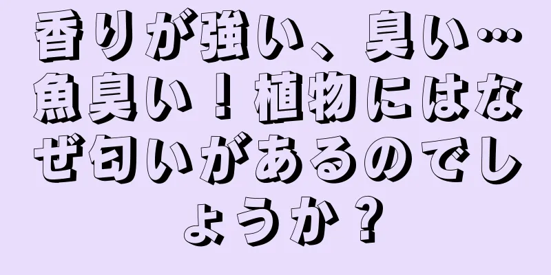 香りが強い、臭い…魚臭い！植物にはなぜ匂いがあるのでしょうか？