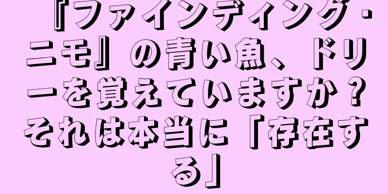 『ファインディング・ニモ』の青い魚、ドリーを覚えていますか？それは本当に「存在する」
